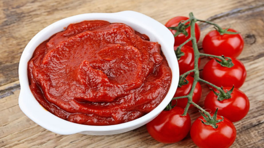 How to start tomato paste production business in  Africa.