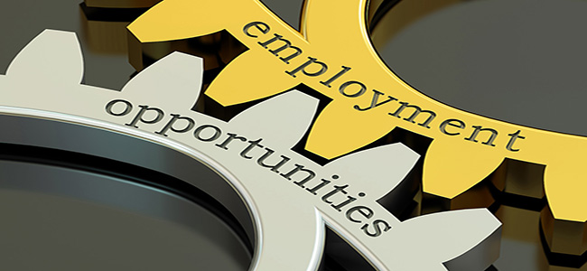 Employment opportunities: 17 social platform to obtain job vacancy in Nigeria