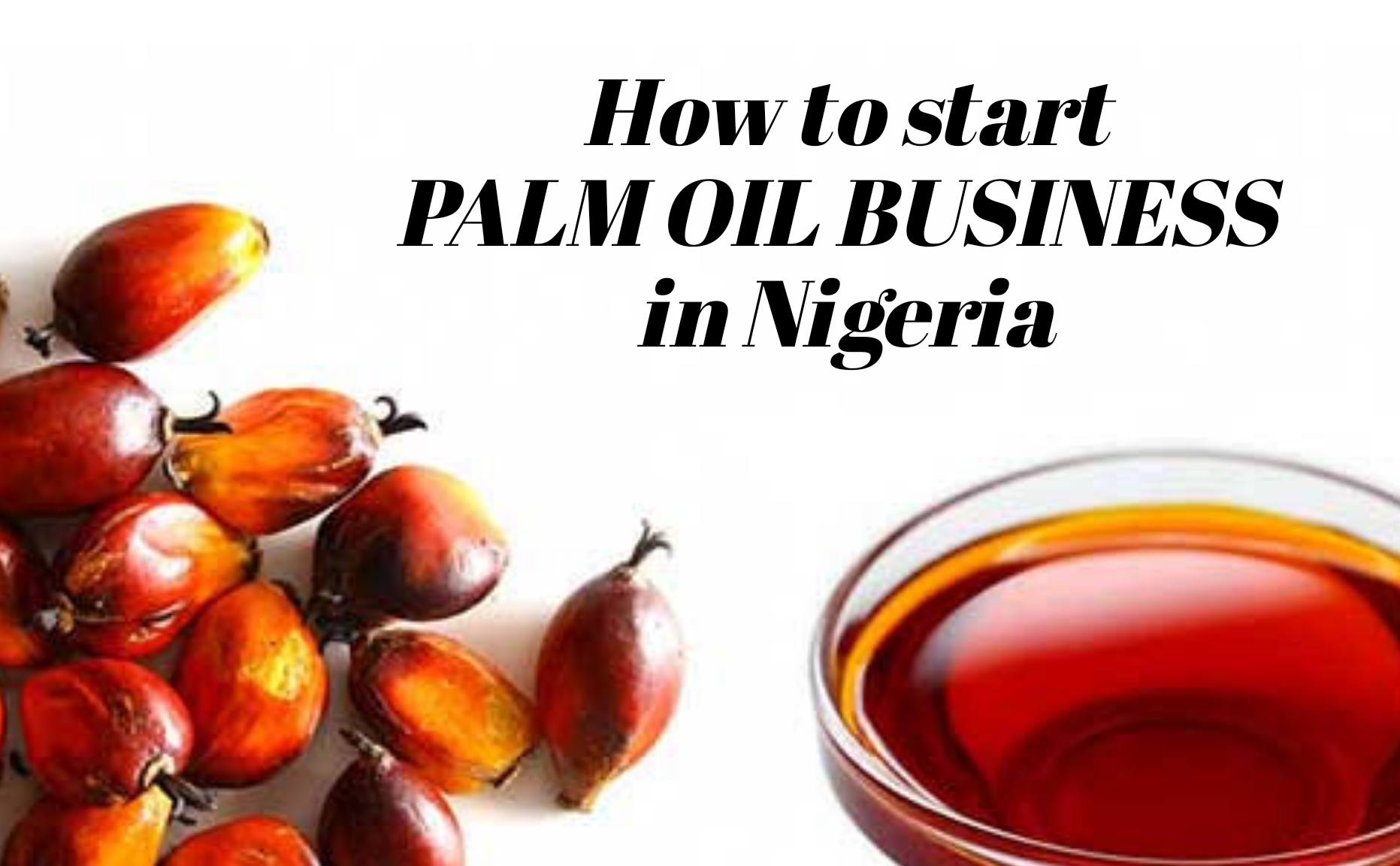 Profitable Steps To Starting A Palm Oil Business In Nigeria: Step By Step