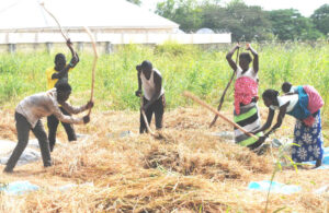 Challenges Of Farming Business In Nigeria