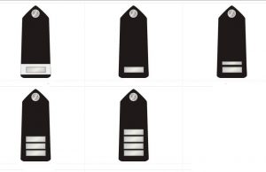 Nigeria police ranks and symbols, salary structure 2 Image of inspectors category