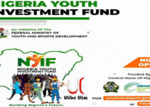 Application Portal For Nigerian Youth Investment Fund NYIF 2021.