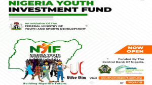 Application Portal For Nigerian Youth Investment Fund NYIF 2021 ...