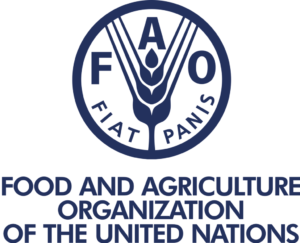 Food and Agriculture Organization Internship