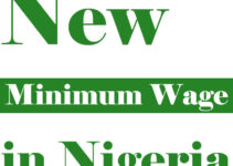 Official Nigeria Minimum Wage Per Month, Level 7 & Level 08 Salary.