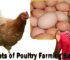Steps To Set Up a Poultry Farming Business In Nigeria.