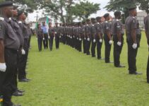 Structure Of Nigeria Police Force -(All You Need To Know). - School ...