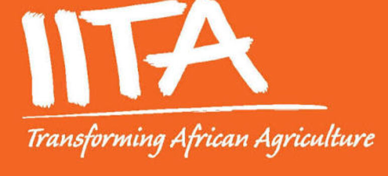 IITA Salary Structure and Allowances For Entry Advanced Levels