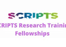 Apply for SCRIPTS Research Training Fellowships 2022.
