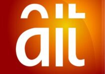 History and Owner of AIT (African Independent Television).