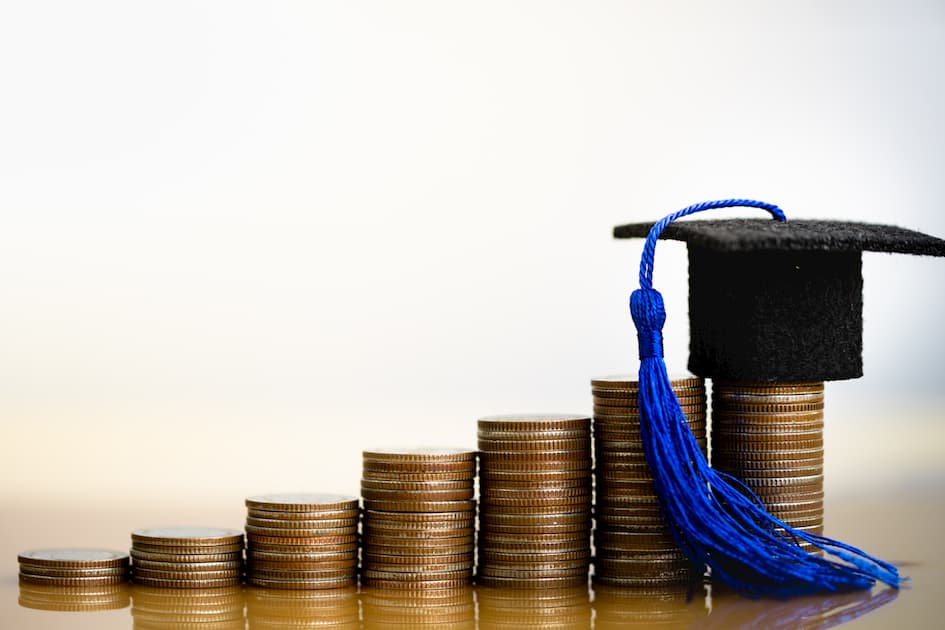 The Different Levels Of Education System. School Drillers