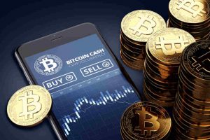 Top 6 Factors Affecting Market Price of Bitcoins