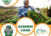 How to Access AGSMEIS Loan Scheme: Steps and Requirements