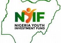 How to Obtain Nigeria Youth Investment Fund Loan