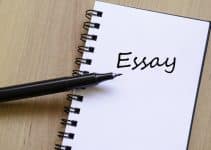 Four Typical Types of Essays You Must Know