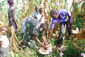 some characteristics of subsistence farming