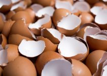 Benefit of Feeding Egg Shells to Chickens