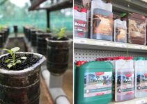 How to Start Hydroponic Retail Store Business