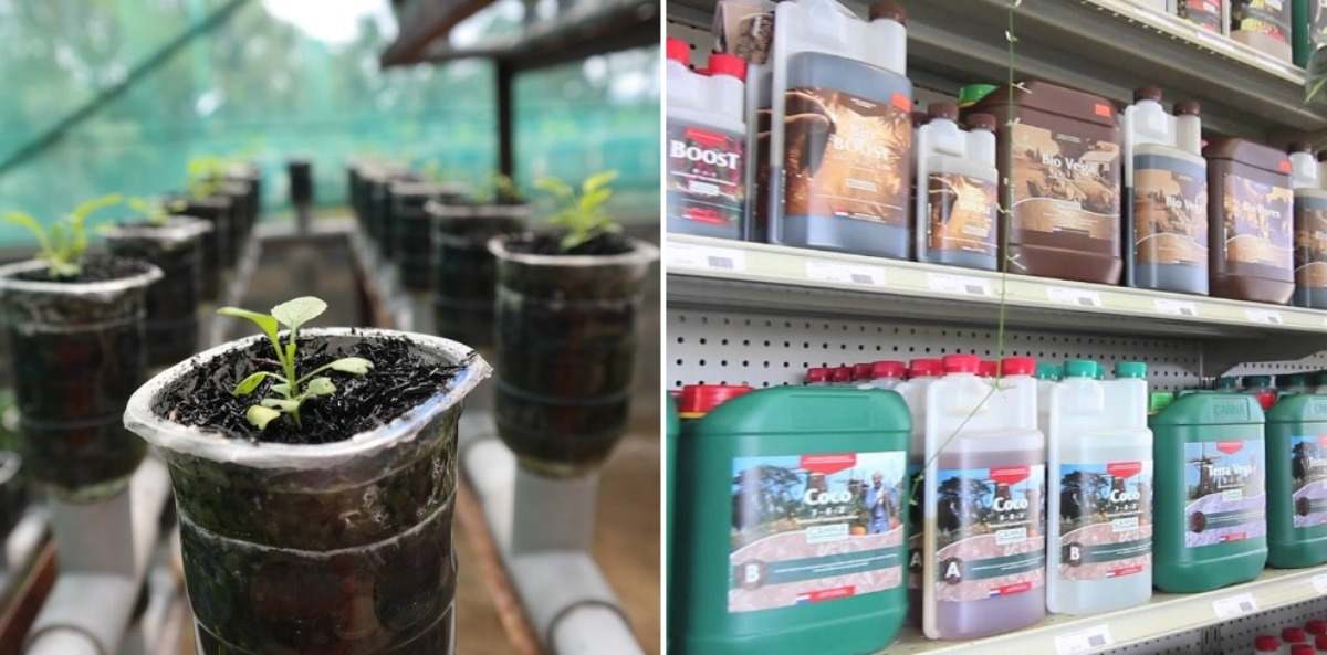 How To Start Hydroponic Retail Store Business School Drillers