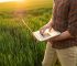 The Best Career Opportunities in Agriculture