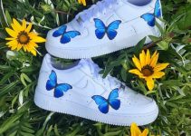 All You Need to Know About Butterfly Air Force One