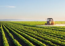 13 Agricultural Industries and the Example in Each Industry