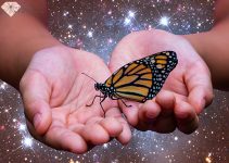 The Symbolic Meaning of Seeing Butterflies