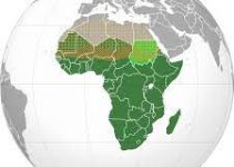 The Summary of the Shape of Africa