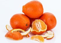 Spiritual Meaning of Tangerine Dreams