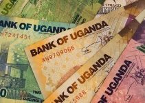 Profitable Business You Can Start With 1m Ugandan Shillings