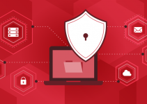 The Key Features of Information Security