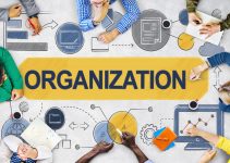 Information Needs in an Organization