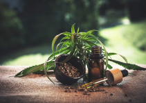7 Ways To Include CBD Oil In Your Monsoon Recipe