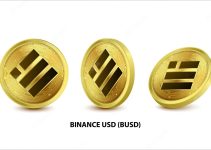 Trading Pairs Explained: Binance USD and Other Cryptocurrencies