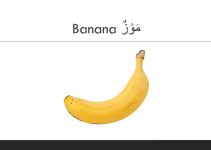 What is the Arabic Word for Banana?