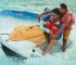 10 Exciting Water Sports to Engage During Your Travel Adventure