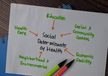 The Social Determinants of Health and Social Worker Support