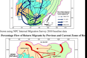 What Are the Four Patterns of Migration in Nigeria?