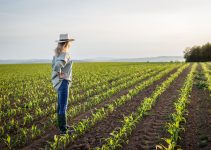 7 Skills You Need to Be Successful in Farming Business