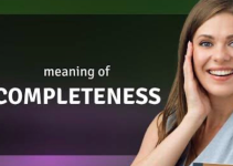 Completeness Meaning: Synonym and Example for Completeness