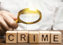 List of Specializations in Criminology