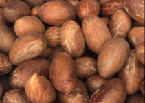 10 Benefits of Bitter Kola: What is the Side Effect of Kola Nut