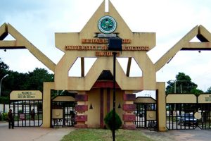 The Courses Offered in University of Agriculture Umudike