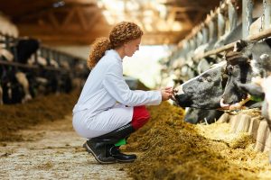 Importance of Animal Feed Science and Technology