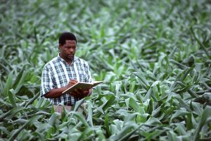 Top 10 Important Courses in Agricultural Science