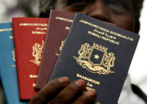 Top 10 Countries with the Strongest Passports in Africa