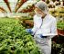 Careers in Agriculture, Food Science and Natural Resources