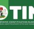 How To Get Your Tax Payer Identification Number in Nigeria