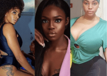 Top 10 Richest Video Vixens in Nigeria