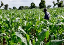 What is agricultural science and the types What is agricultural science and the types